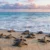 Sea Turtles 1. 3 Green turtles just got reclassified from Endangered to Least Concern — one of the biggest conservation wins in marine history. Here's what's still threatening all seven species, what anglers can do about it, and why the Georgia Sea Turtle Center on Jekyll Island is worth your time.