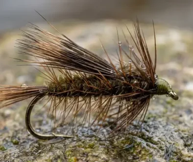 Most anglers think stonefly season ends in July. They're wrong. Skwala, Golden Stimulator, and Little Yellow Stone tying instructions — Montana's Classic Stonefly Bench Article 3.
