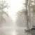 Lake Drummond Virginia Fly Fishing 2. 3 Lake Drummond Virginia fly fishing guide — all species, best flies, techniques, access, and seasons. The most honest guide to fishing America's most unusual lake.