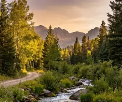 Wyoming — Lost, Found, and Catching Cutthroat