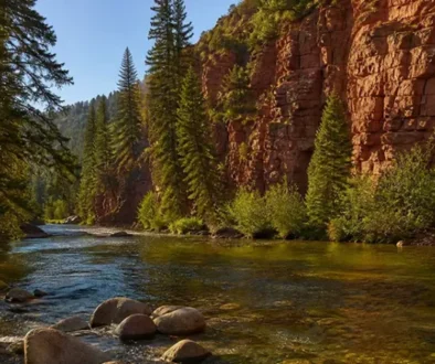 Colorado trout went to graduate school. Girdle Bug, Amy's Ant, Frying Pan Salmonfly Special — tying instructions for four Colorado stonefly rivers. Article 7.
