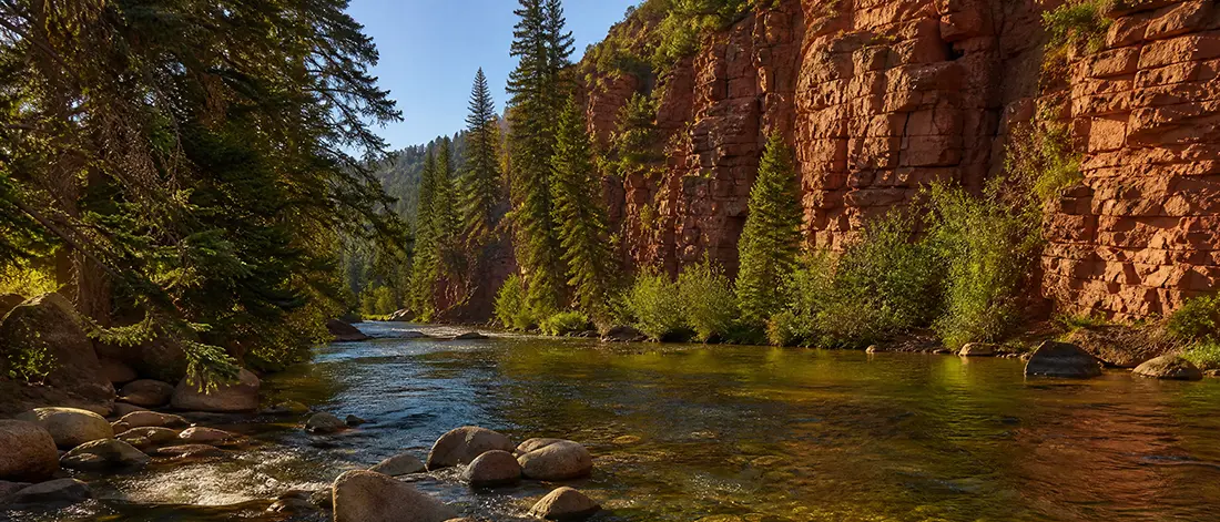 Colorado trout went to graduate school. Girdle Bug, Amy's Ant, Frying Pan Salmonfly Special — tying instructions for four Colorado stonefly rivers. Article 7.