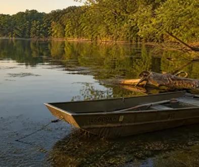 Chase trophy bull bluegill on the fly across Illinois, Ohio & Missouri. Top lakes, popper tactics, and gear from Capt. Grumpy at Saltwateronthefly.com.