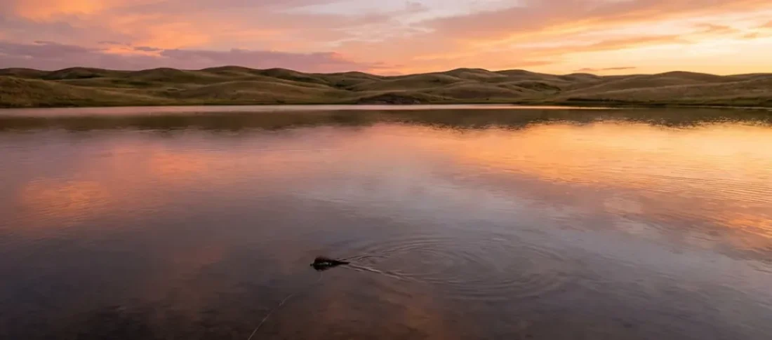 Frye Lake, Nebraska- Fly fish for giant bluegill across Nebraska's Sandhills, Kentucky Lake, and Iowa's spawn-season hotspots. Lake guide, tactics & gear-Saltwater on the fly.