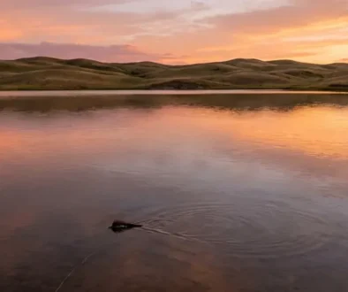 Frye Lake, Nebraska- Fly fish for giant bluegill across Nebraska's Sandhills, Kentucky Lake, and Iowa's spawn-season hotspots. Lake guide, tactics & gear-Saltwater on the fly.