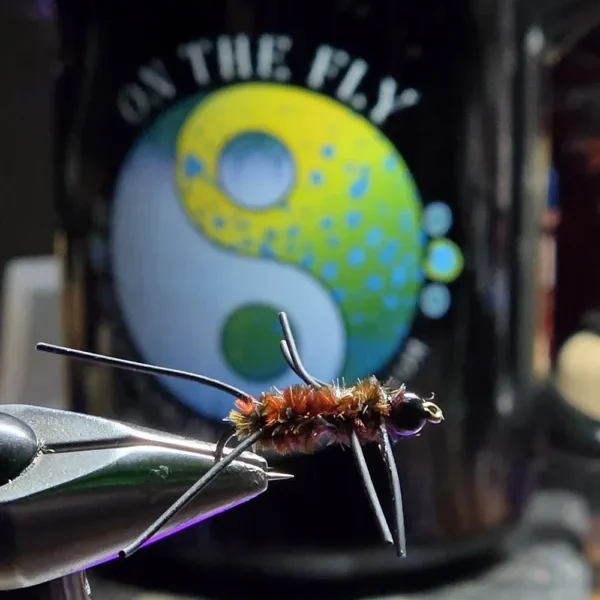 Chocolate Mint-Girdle Bug