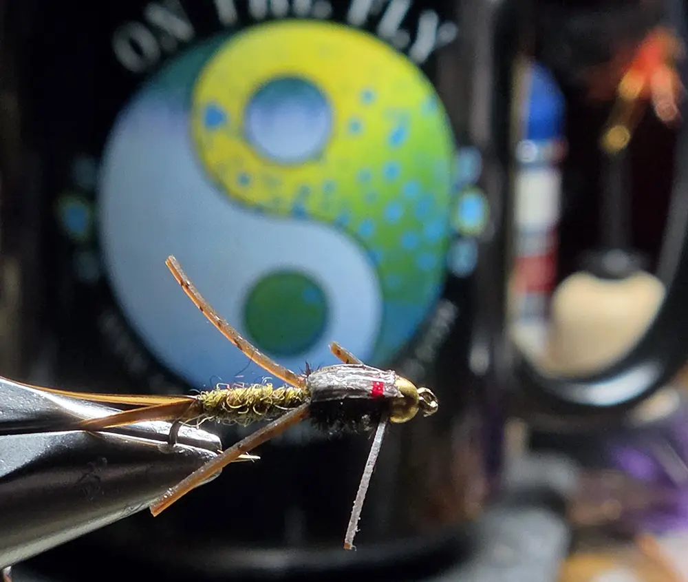 Drakenstone Nymph, Saltwater on the fly.