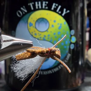 Tie the Firebelly Hopper — a gold-glitter foam hopper pattern built to trigger trout looking up. Full recipe, tying notes, and fishing tips.