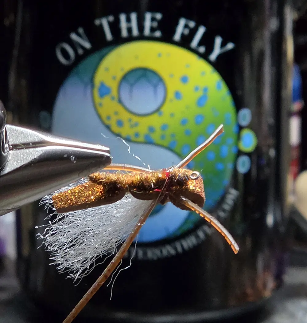 Tie the Firebelly Hopper — a gold-glitter foam hopper pattern built to trigger trout looking up. Full recipe, tying notes, and fishing tips.