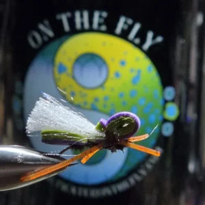 Green-Purple Foam Hopper, Saltwater on the Fly.