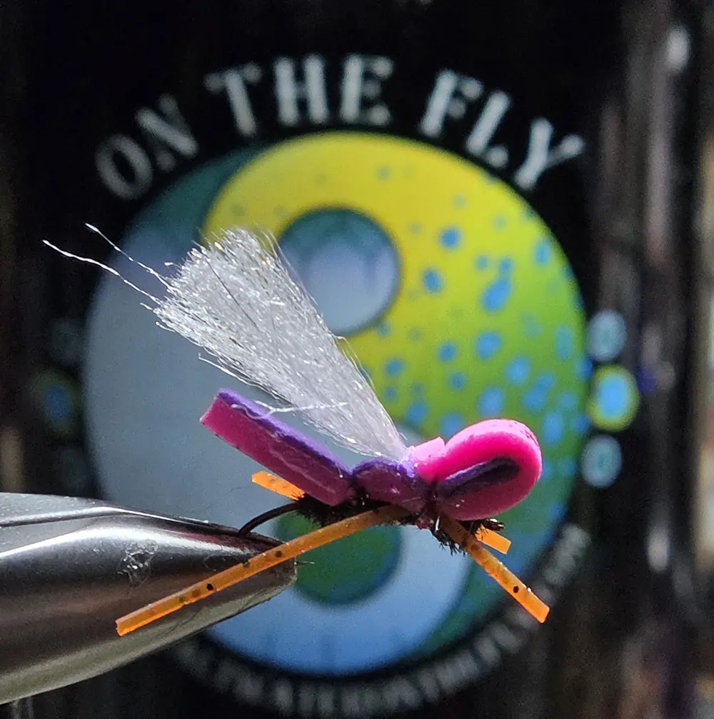Purple-Hot Pink Foam Hopper Forget The Panty Dropper And Hang On, Saltwater on the Fly.