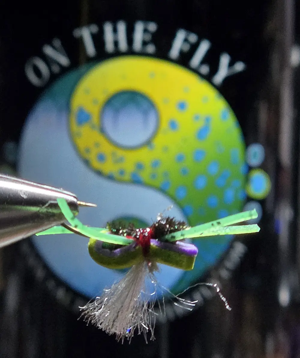 Chartreuse-Purple I Wonder Terrestrial - Image 3