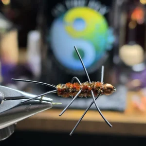 Chocolate Mint Girdle Bug, Saltwater on the Fly.