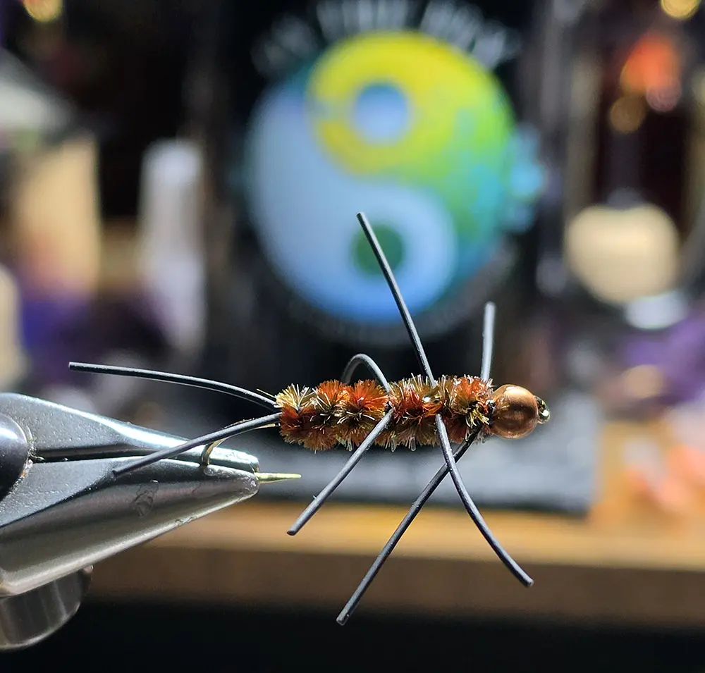 Chocolate Mint Girdle Bug, Saltwater on the Fly.