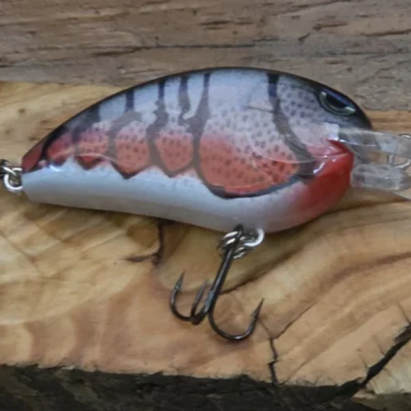 American Craw