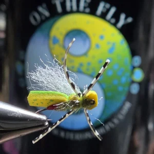 Firecracker Sallie salmonfly dry fly red floss tag, chartreuse Fritz-twisted body, and high-floating Predator Dub wing. Built for big Rocky Mountain trout.