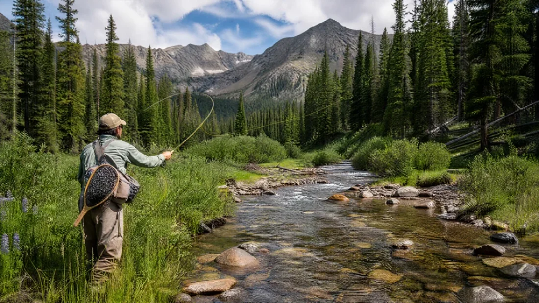 Roadless Rule Rollback: What It Means for Trout & Salmon, Saltwater on the Fly.